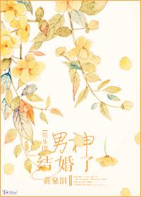男神婚后生活