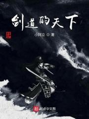 剑道天心全集
